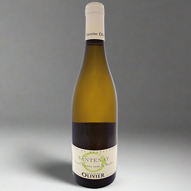 Santenay 'Les Coteaux Sous La Roche' 2018