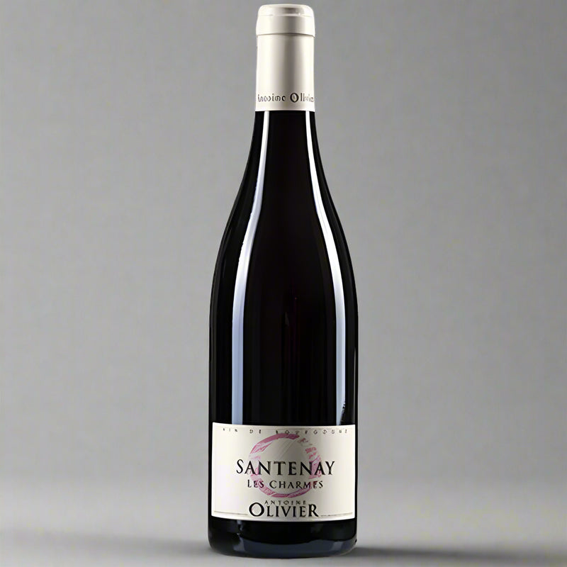 Santenay 'Les Charmes' Rouge 2021