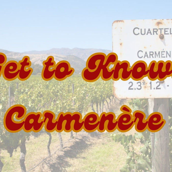 Carmenère: The Lost Grape That Found a Home in Chile