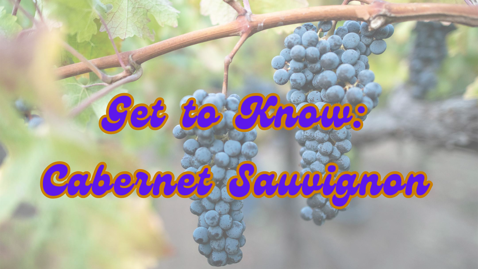 Get to Know Cabernet Sauvignon