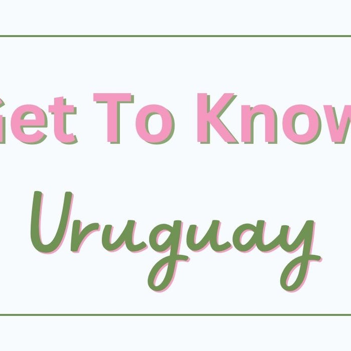 Get to Know Uruguay