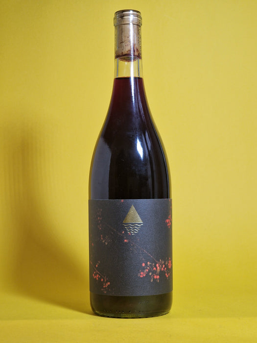 Mountain Tides Carbonic Petite Sirah - California, USA