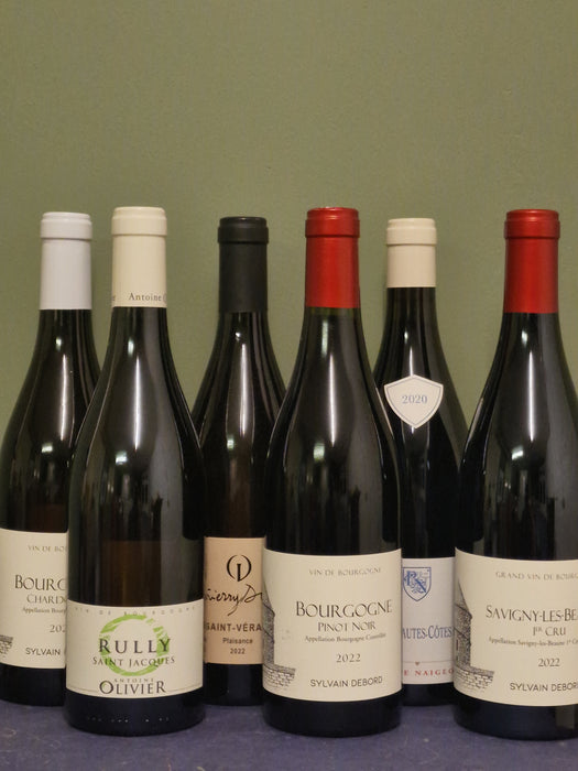 Wine Case - The Burgundy Mix 6