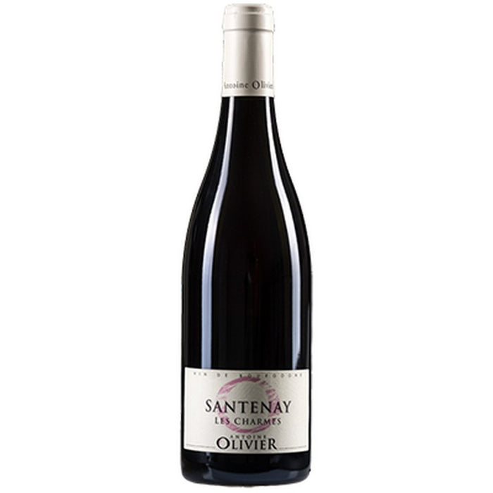 Santenay Les Charmes Rouge 2021 -  Antoine Olivier