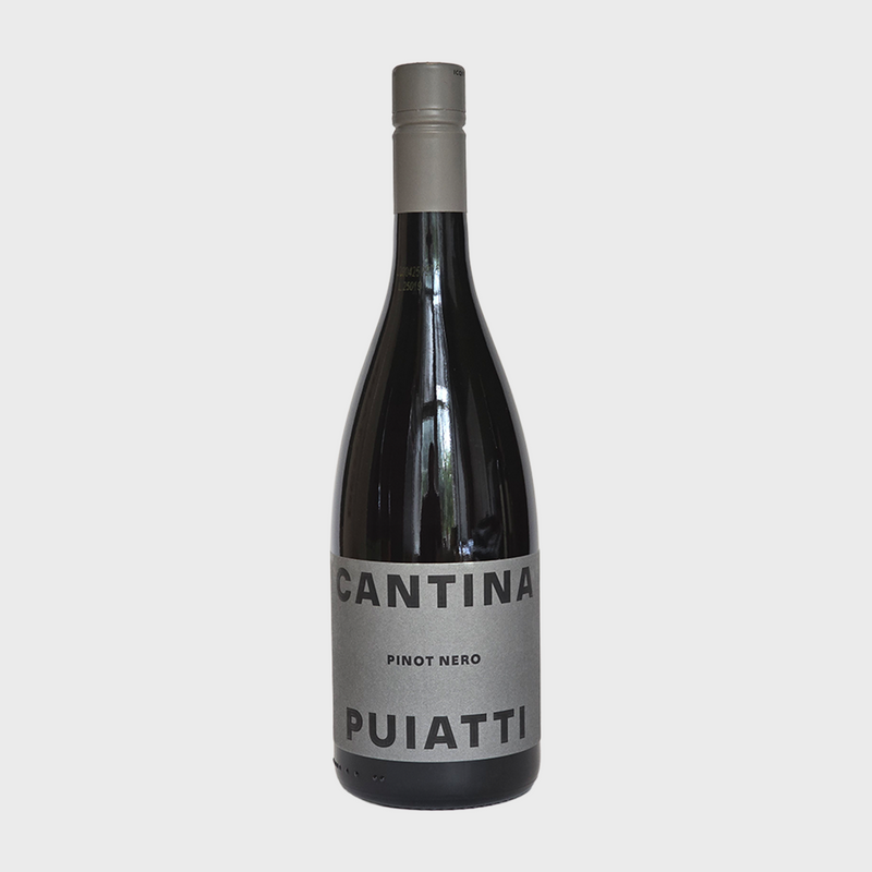 Pinot Nero