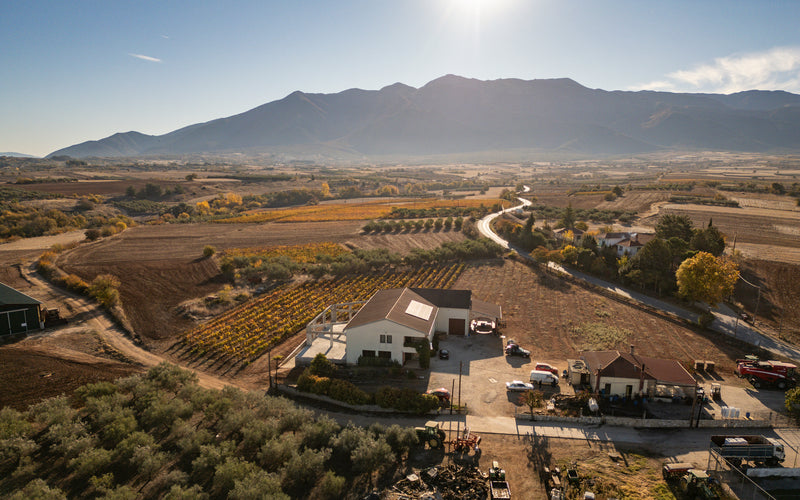 29th April Wine Tasting - Charalaboglou Estate, Greece