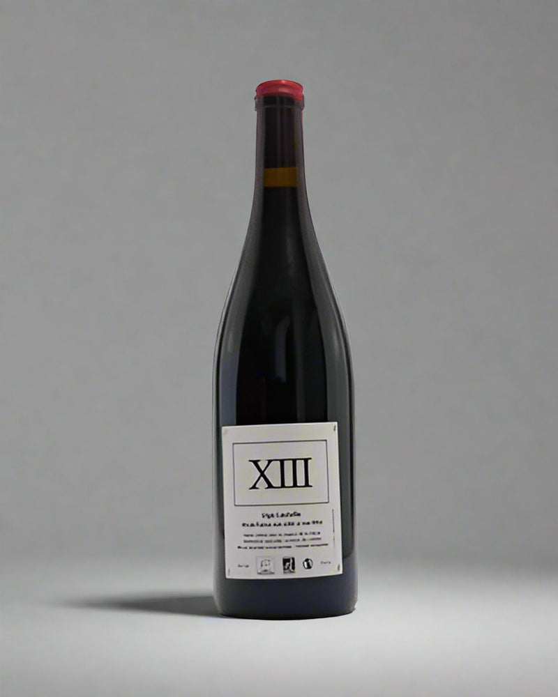 XIII