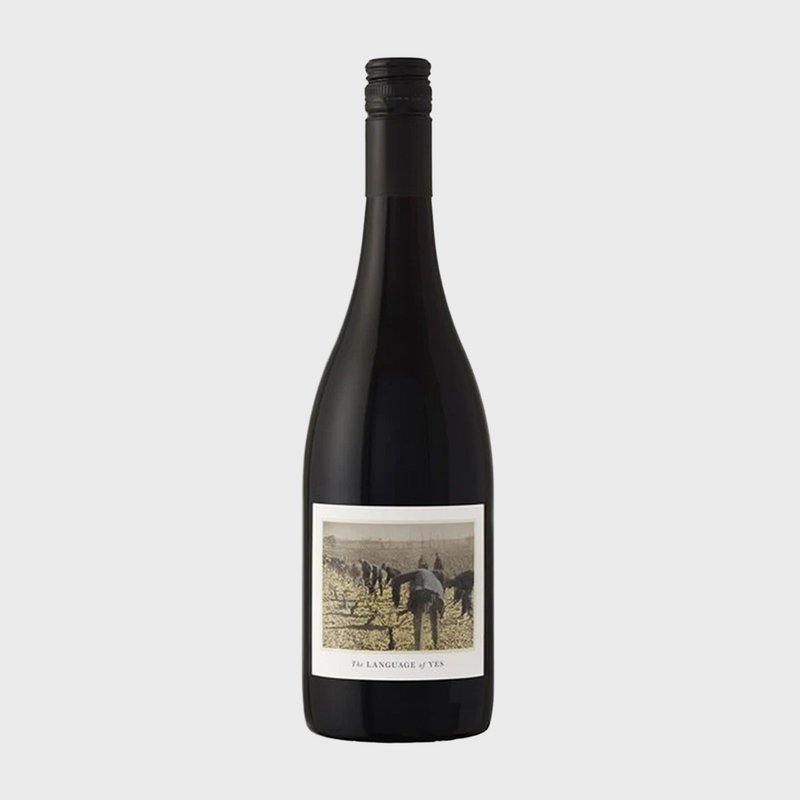 Grenache 2020
