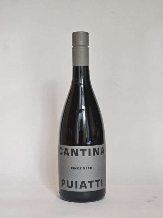 Pinot Nero Friuli 2024